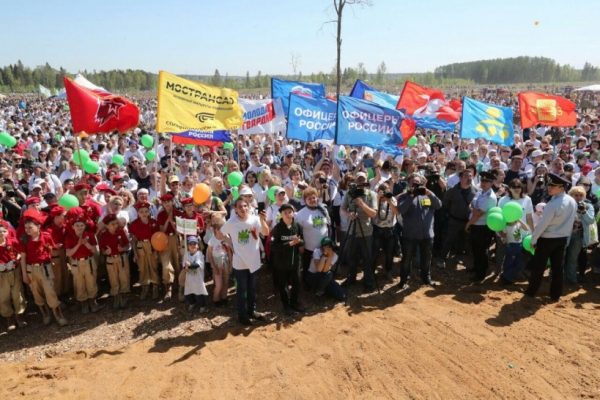 Свыше 300 тыс. человек приняли участие в акции «Лес Победы» в Подмосковье