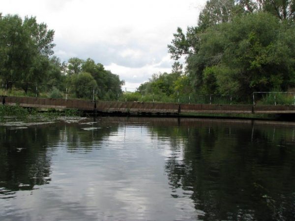 Минэкологии планирует расчистку реки в Талдомском районе