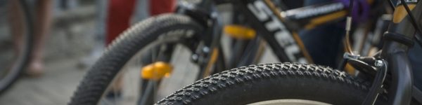 Чемпионов по трем велосипедным дисциплинам будут готовить в Химках
 