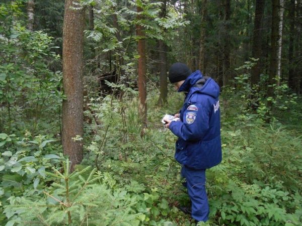 Система-112 Московской области помогает в поиске заблудившихся в лесу 