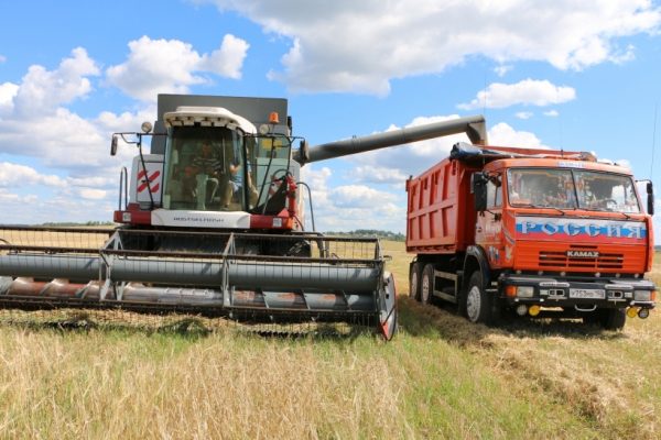 Свыше 260 тыс. тонн зерновых культур убрали на территории Московской области