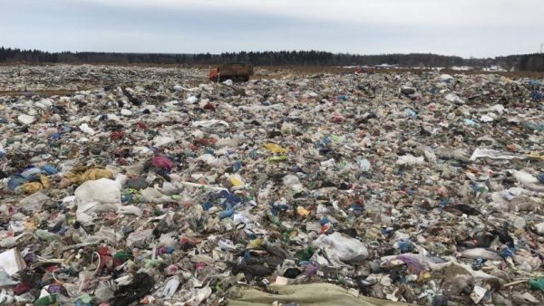 Площадку для сортировки отходов планируют запустить на полигоне ТБО «Торбеево» в Люберцах в августе