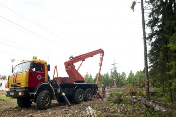 В Московской области более 2100 гектар земли вдоль линий электропередачи расчистили от деревьев и кустарников в ходе подготовки к зиме