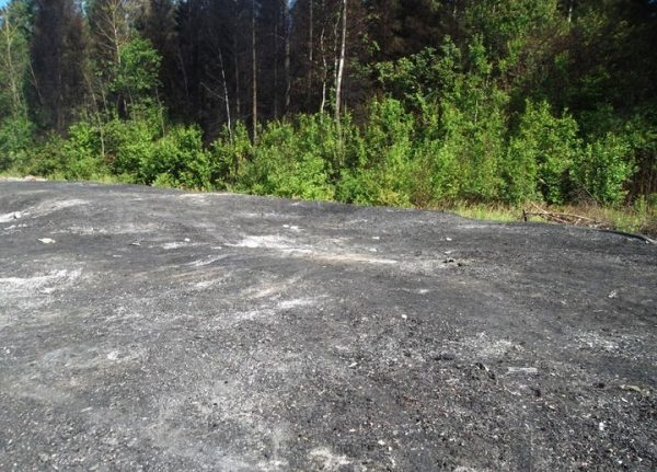 После вмешательства минэкологии ликвидирована незаконная свалка в Сергиево-Посадском районе