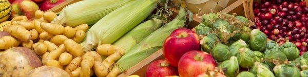 10 тонн овощей и фруктов реализовали на ярмарке в Химках
 