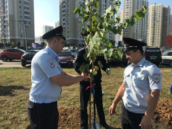 Полицейские и общественники УМВД России по г.о. Химки приняли участие в акции «Наш лес. Посади свое дерево» 