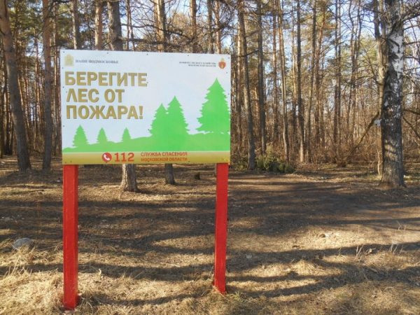В Московской области в 2018 году средняя площадь природных пожаров сократилась более чем вдвое