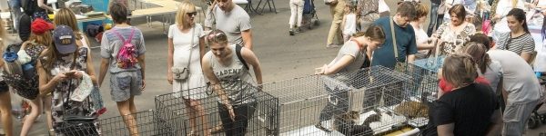 Масштабная выставка-пристройство бездомных животных пройдет в Химках
 