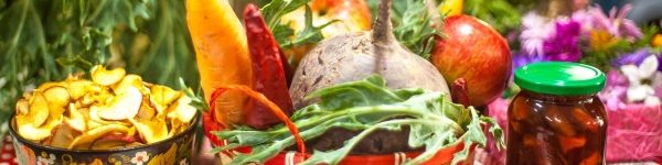  Уникальными рецептами поделились участники «Праздника урожая» в Химках
 
