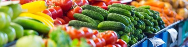 Более 10 тонн овощей продали на сезонной ярмарке в Химках
 