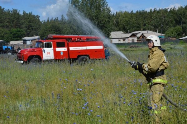 В лесах Подмосковья с 1 ноября 2018 года по распоряжению Губернатора Московской области Андрея Воробьева закрыт пожароопасный сезон.