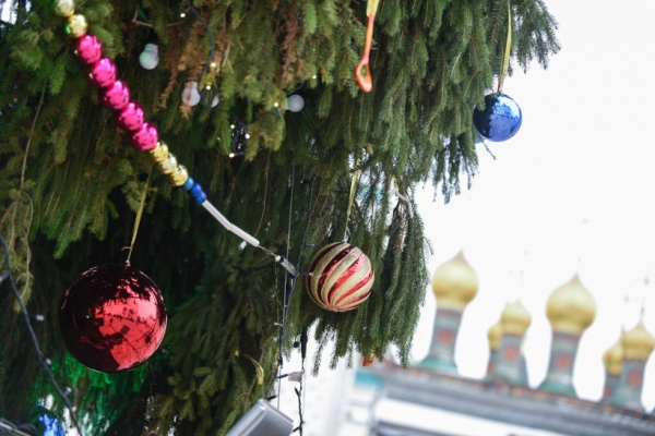 Главная новогодняя елка страны приедет в Кремль 18 декабря