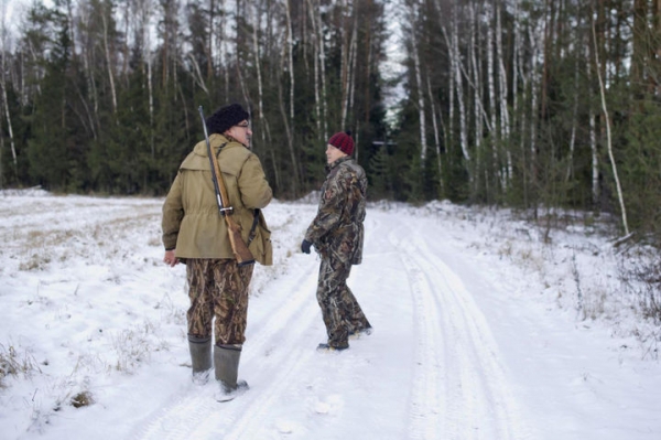 Осенне-зимний сезон охоты на лосей в Подмосковье завершается 15 января