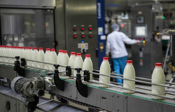 Обозначены штрафы для нарушителей маркировки молокосодержащих продуктов с использованием заменителей молочного жира