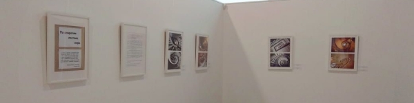 Выставка архитектурных фотографий начала свою работу в Химках
 