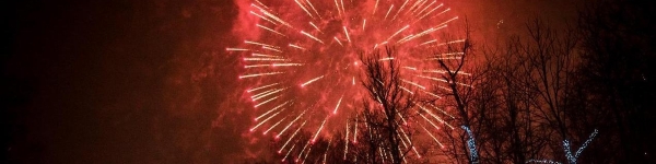 Более 15 тысяч человек встретили новый год в парках Химок
 