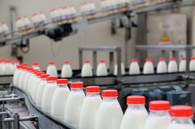 Производство оборудования для молочной отрасли увеличивается