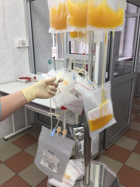 Московская областная станция переливания крови совершенствует заготовку тромбоцитов для онкобольных