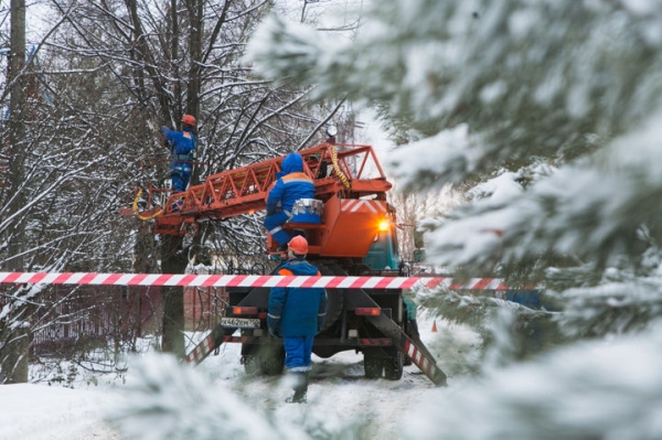 В 2019 году в Московской области расчистят свыше 4800 га просек вдоль ЛЭП