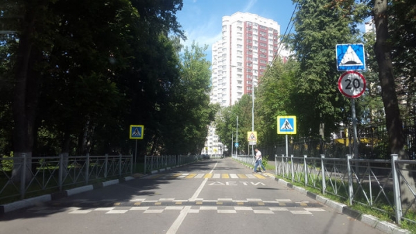 Состояние пешеходных переходов возле химкинских школ обсудили в ГИБДД