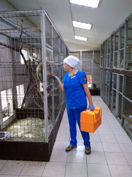 В центре реабилитации диких животных в Дмитровском городском округе прошёл осмотр экзотических животных