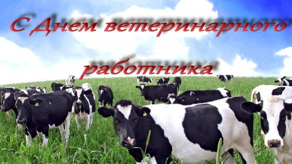 Поздравление министра сельского хозяйства и продовольствия Подмосковья Андрея Разина с Днём ветеринарного работника