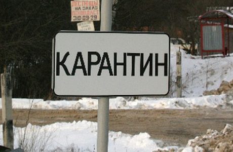 Оперативные меры по локализации вспышки птичьего гриппа позволили <span id=