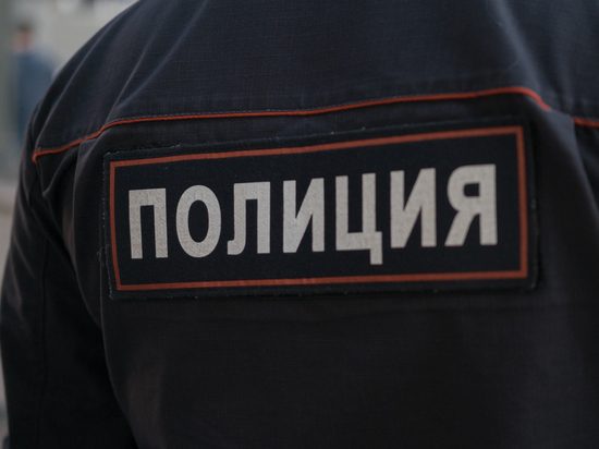 В Подмосковье убит владелец птицефабрики: задержаны дядя и племянник