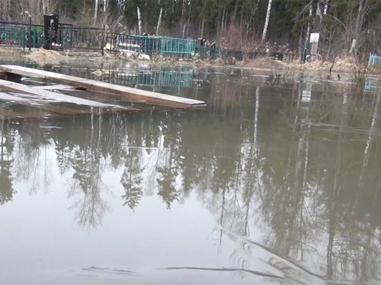 В Щелковском районе затопило целое кладбище