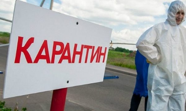Губернатор МО установил карантин на территории Щелковского района из за птичьего гриппа