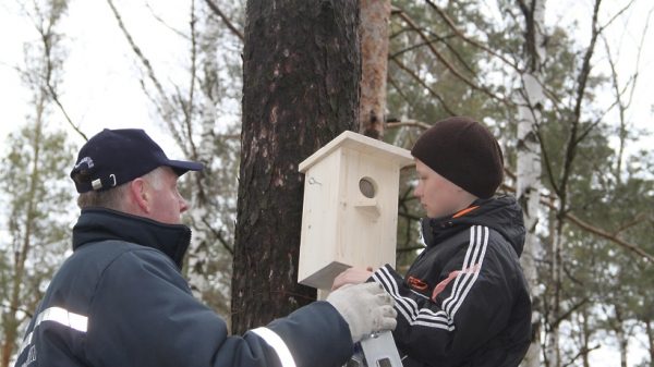 Почти 200 скворечников сделали школьники ко Дню птиц для парка в Подольске