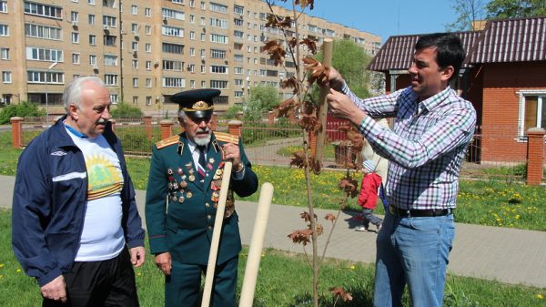 Свыше 250 ветеранов Одинцовского района примут участие в акции «Лес Победы» 29 апреля