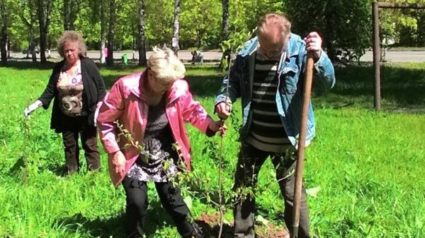 Более 46 тыс. хвойных деревьев посадят в Солнечногорском районе в ходе акции «Лес Победы»