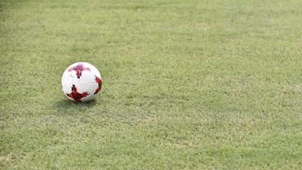 Филиалы Академии умного футбола открылись в школах Химок