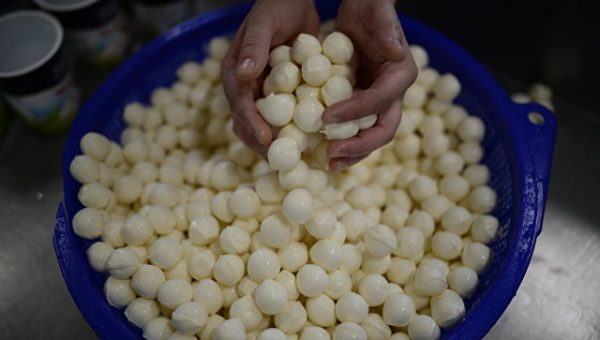 Сыр по итальянской технологии будут производить <span id=