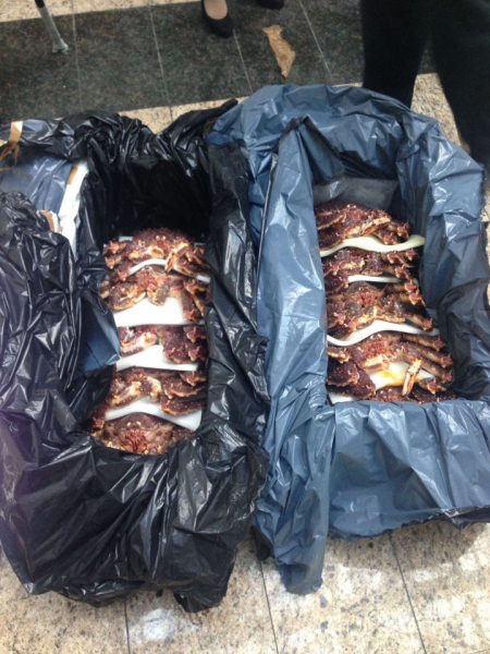 Шереметьевская таможня пресекла  незаконный вывоз морского деликатеса   