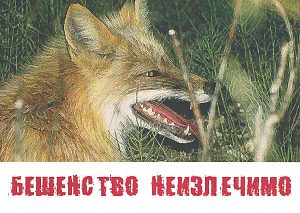 Утверждён план проведения месячника по <span id=