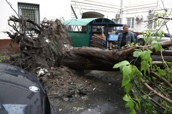 Число погибших из-за урагана в Москве и МО достигло восьми человек">  