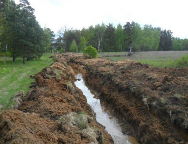 Серпуховские аграрии ответят за то, что прокопали ров на территории природного заказника