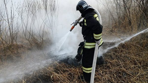 За минувшие сутки в лесах Подмосковья потушили 15 пожаров