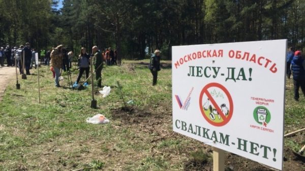Активисты ОНФ провели акцию «Лесу – да! Свалкам – нет!» в Дедовске