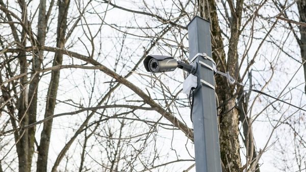 Десяток аналоговых камер мониторинга лесов в регионе заменят на цифровые в 2017 году