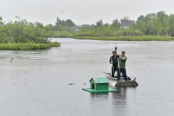 Озеро Киёво может войти в федеральную программу по финансированию ООПТ