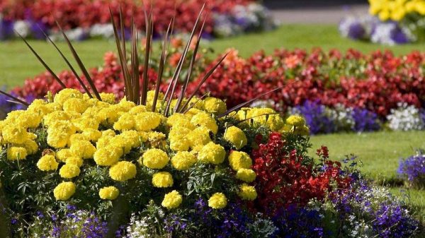 Открытие фестиваля цветов в честь 700-летия Клина состоится в субботу
