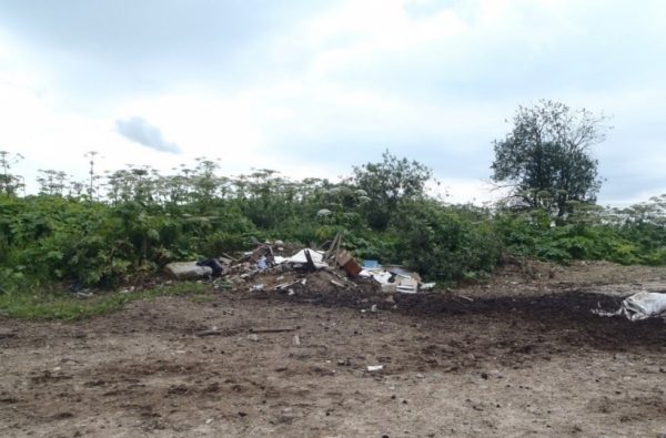 Порядка 50 навалов мусора зафиксировал Госадмтехнадзор у дорог в Рузском округе