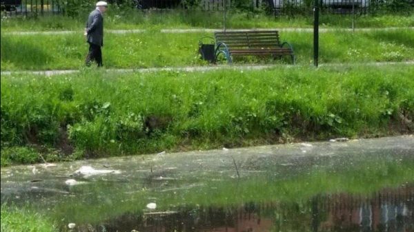 Минэкологии потребовало почистить пруды в Люберцах и Солнечногорске
