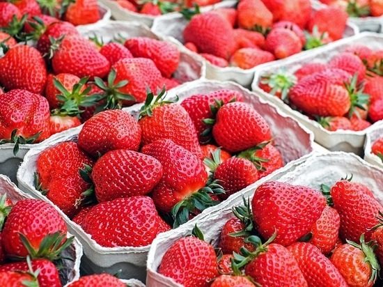 Война за клубнику: сбор ягоды в совхозе иногда оборачивается дракой