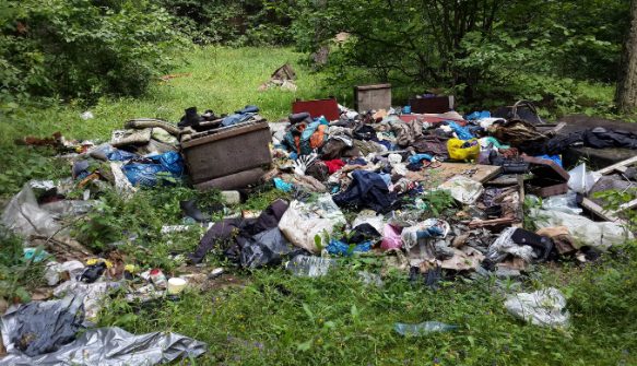 Акция ОНФ по уборке мусора состоится в Истре 29 июля