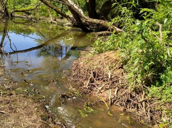 Русло реки восстановили в Домодедове по требованию Минэкологии