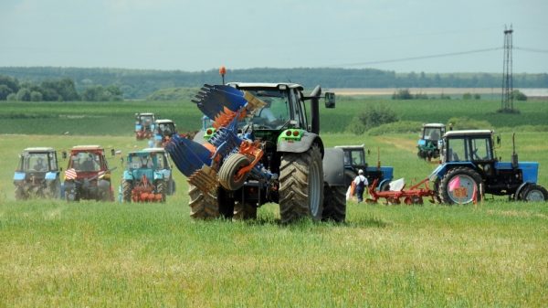 Эффективную уборку зерновых культур сделали основной задачей для аграриев региона